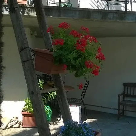 Teranga 3* Montecarotto