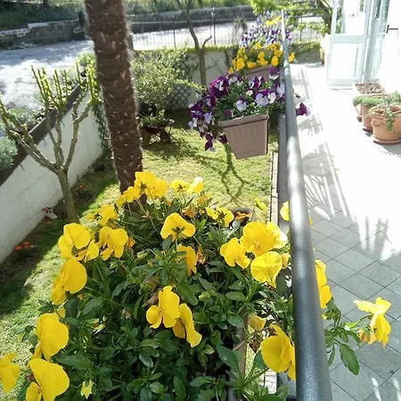 Teranga Frühstückspension